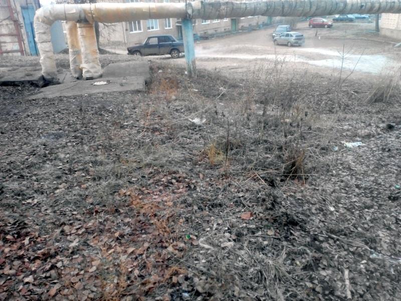 После обращения ОНФ в Мордовии убрали несанкционированную свалку возле сельского детсада