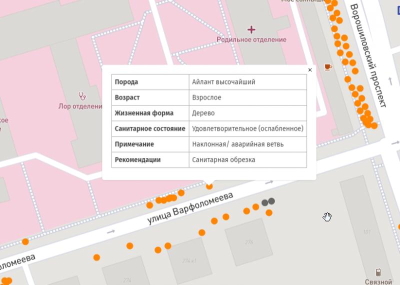 Опубликована электронная карта деревьев города Ростова-на-Дону