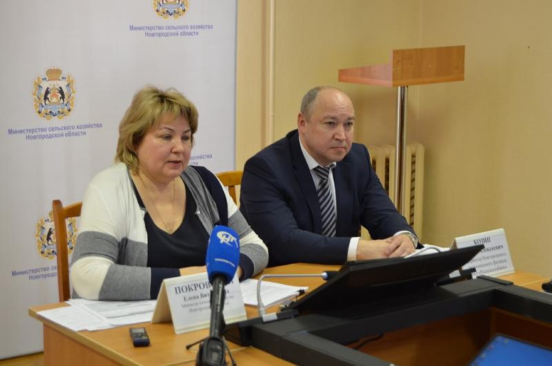 В Новгородской области на участие в программе сельская ипотека под 2.7% уже подано 65 заявок