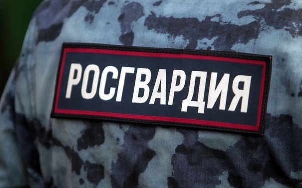 В Великом Новгороде сотрудники вневедомственной охраны Росгвардии
задержали правонарушителей, проникших в охраняемый частный дом