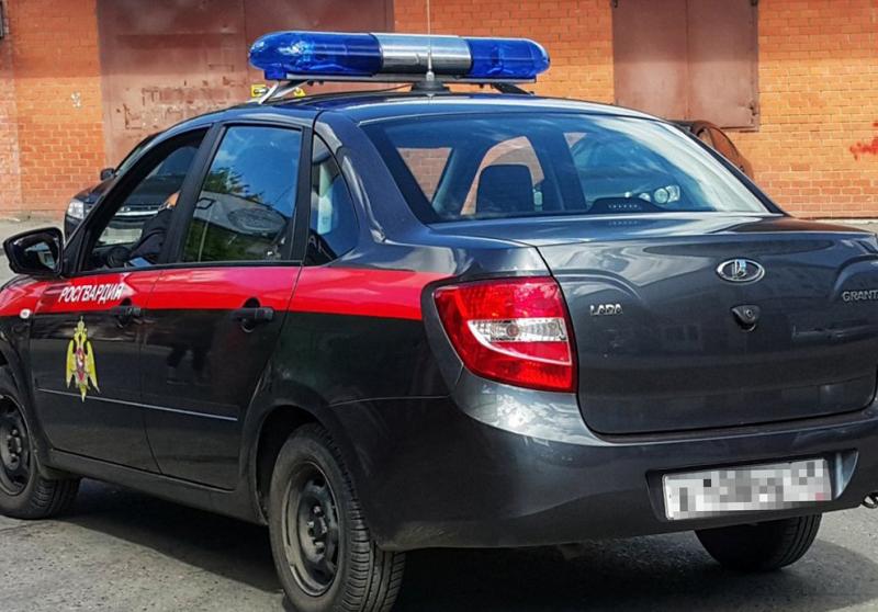 В Мордовии сотрудники Росгвардии совместно с полицейскими задержали предполагаемого грабителя