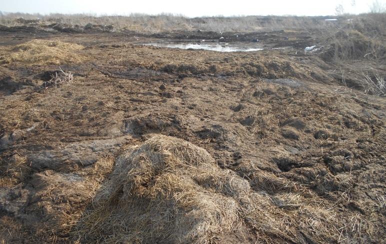 За размещение отходов жизнедеятельности животных на землях сельхозназначения юридическому лицу в Пермском крае выдано предостережение