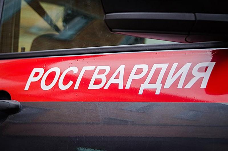 Сотрудники Росгвардии задержали жителя Саранска за кражу алкоголя