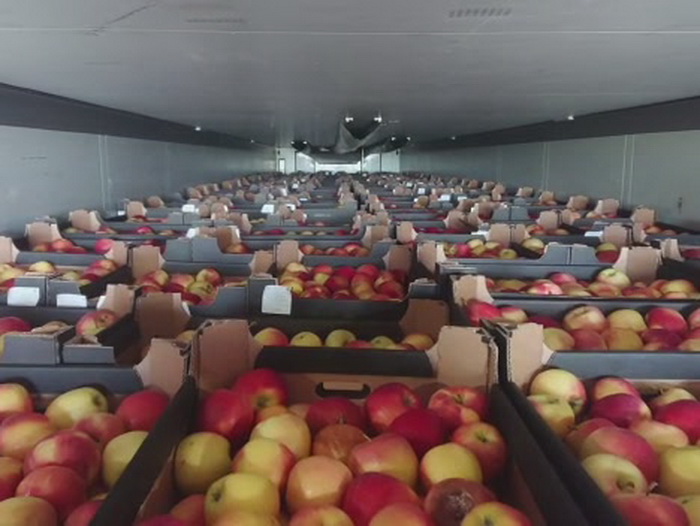 Смоленские таможенники задержали грузовик с яблоками без сопроводительных документов