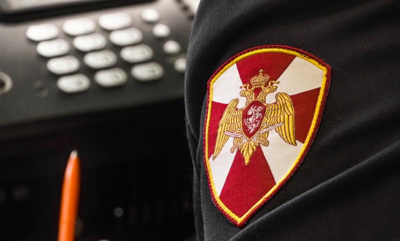 В Новгородской области  сотрудники Росгвардии изъяли 11 единиц зарегистрированного оружия