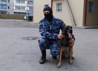 Журналистам ГТРК «Курган» показали, как работает минно-розыскная собака спецподразделения Росгвардии