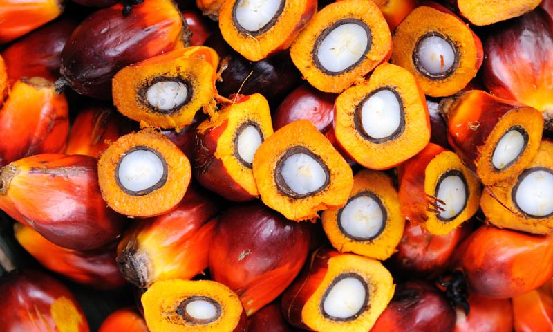 Прибыль ГК «ЭФКО» падает из-за отказа РФ от пальмового масла
