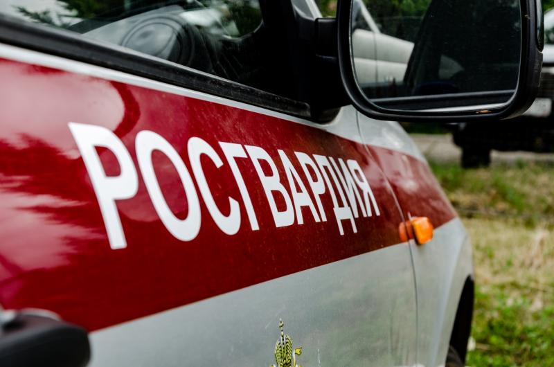В Челябинской области росгвардейцы задержали подозреваемую в краже 24 предметов нижнего белья
