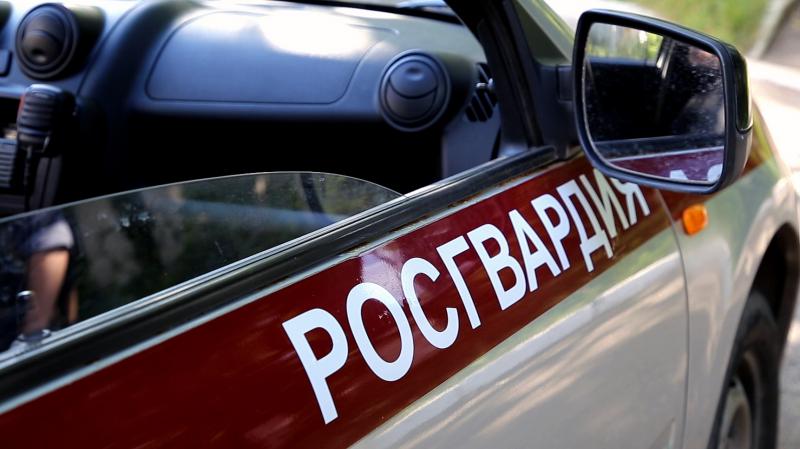 В Саранске сотрудники Росгвардии выявили нетрезвого водителя, представлявшего опасность для граждан