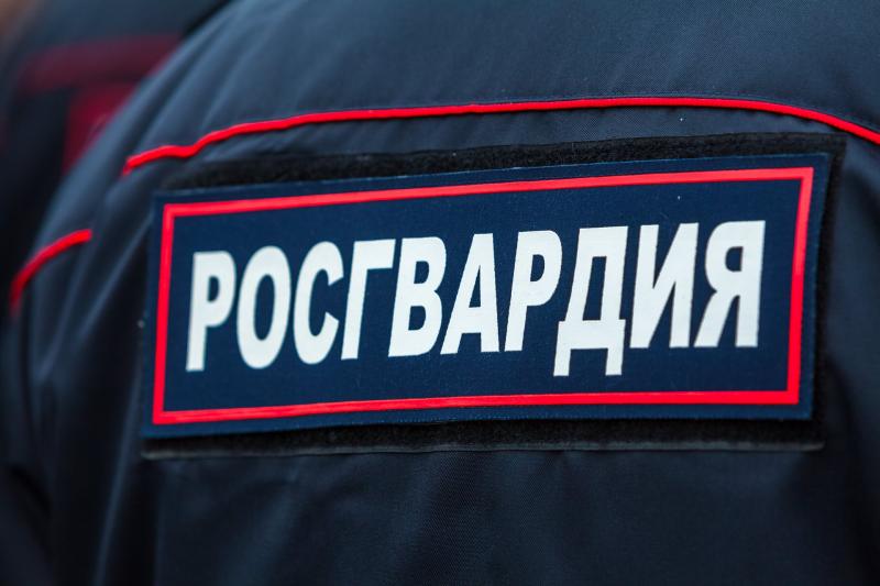 В Челябинске сотрудники Росгвардии задержали подозреваемого в краже