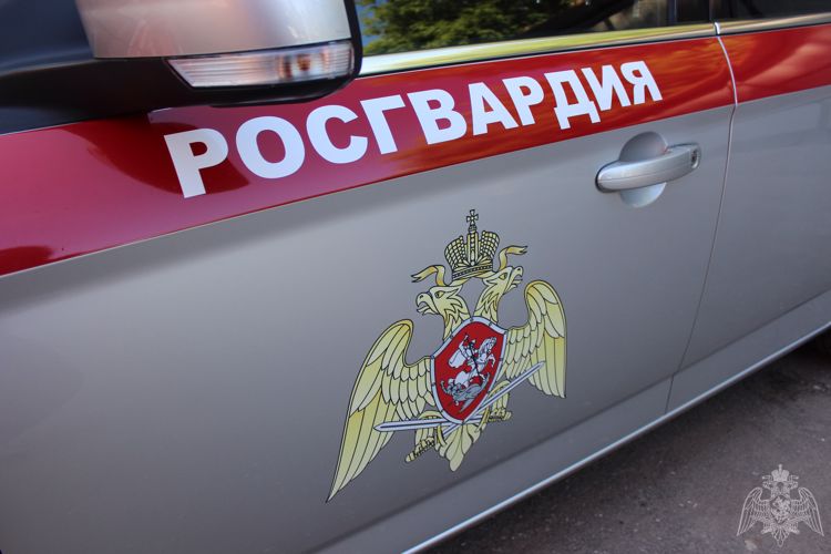 За сутки в Челябинске росгвардейцы задержали двух граждан, находившихся в федеральном розыске