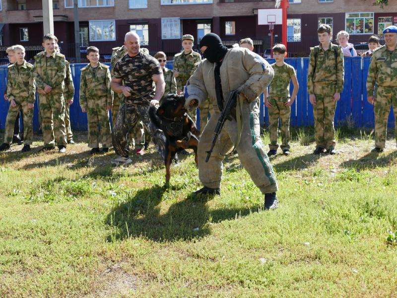 В Иркутске в рамках акции «Терроризму - нет» учащиеся классов Росгвардии стали зрителями показательного выступления служебных собак
