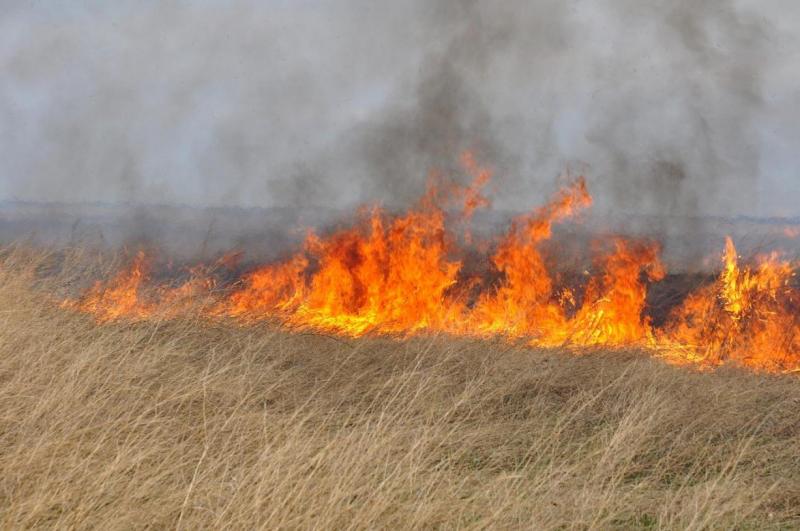 Забайкальское Управление Росреестра призывает граждан соблюдать меры профилактики пожаров