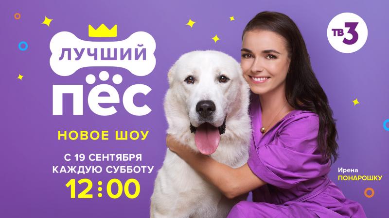 ТВ-3 перевел собак на дистанционное обучение