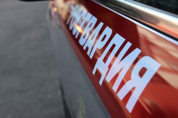 В Мурманске за минувшую неделю наряды вневедомственной охраны Росгвардии совершили более 180 выездов по сигналу «Тревога»