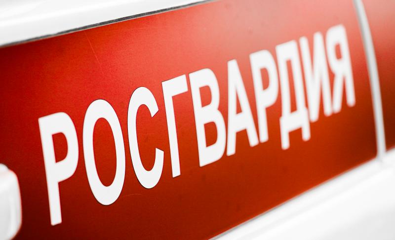 Результаты работы подразделений вневедомственной охраны  Росгвардии по Новгородской области за прошедшую неделю