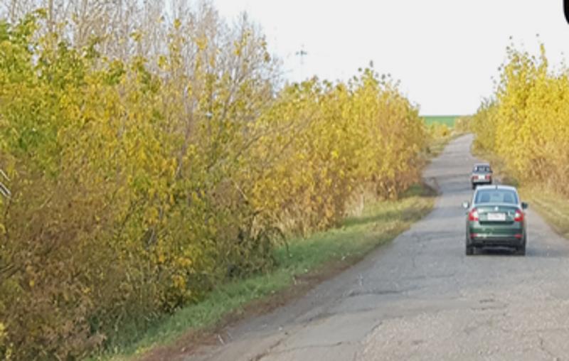 ОНФ в Мордовии добивается ремонта дороги для развития туристического маршрута к селу Урусово