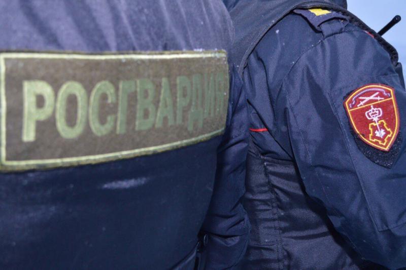 В Мурманске сотрудники Росгвардии задержали жителя г. Заозерска за хищение дорогостоящего алкоголя