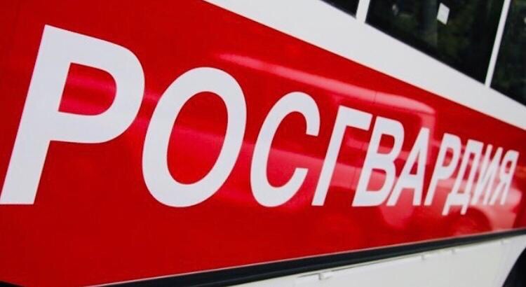 В Пскове сотрудники Росгвардии задержали подозреваемого в краже