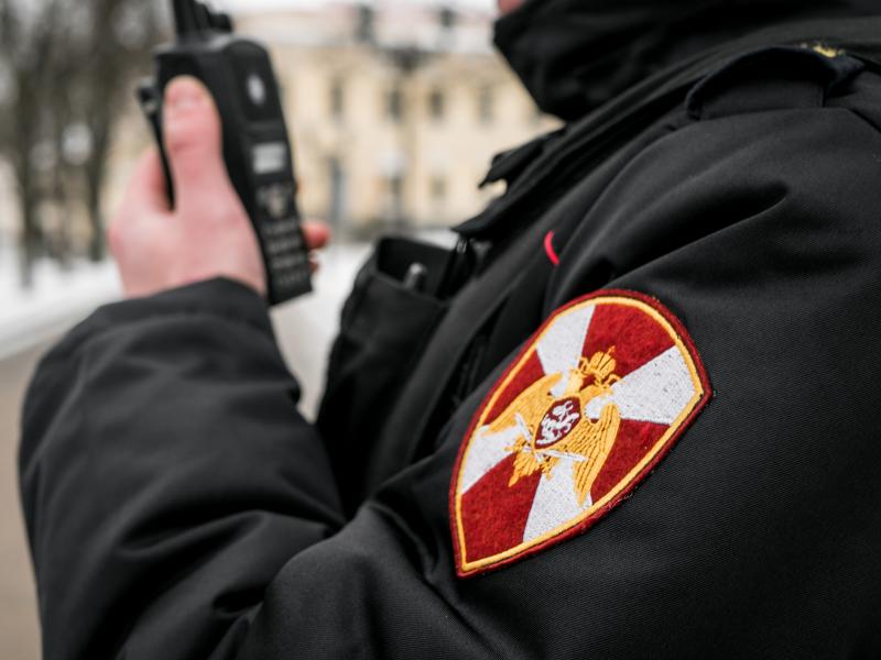 В Великом Новгороде сотрудники вневедомственной охраны Росгвардии задержали подозреваемых в краже