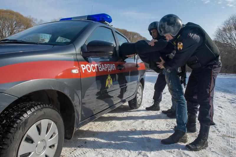 В Североморске сотрудники Росгвардии задержали водителя, скрывшегося с места ДТП