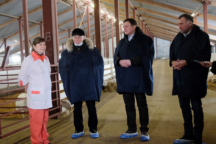 СПК «Красное Знамя» на пути к статусу племрепродуктора по разведению коз молочного направления