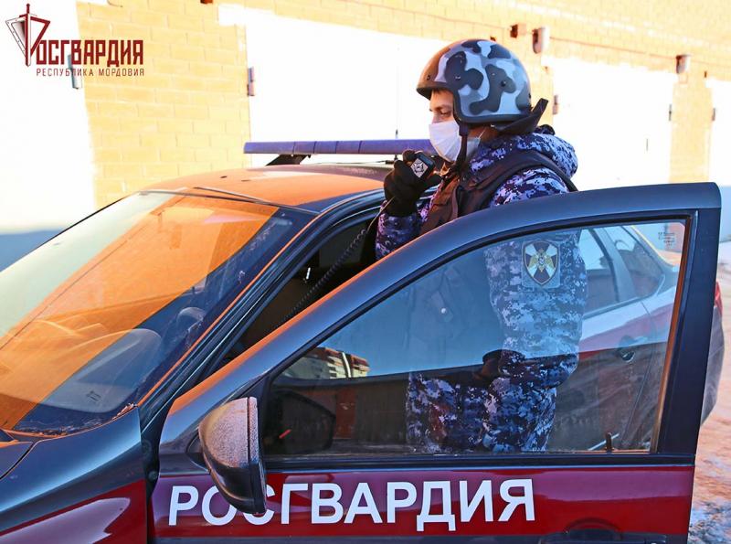 В  Саранске росгвардейцы задержали одного из предполагаемых похитителей набора электроинструментов