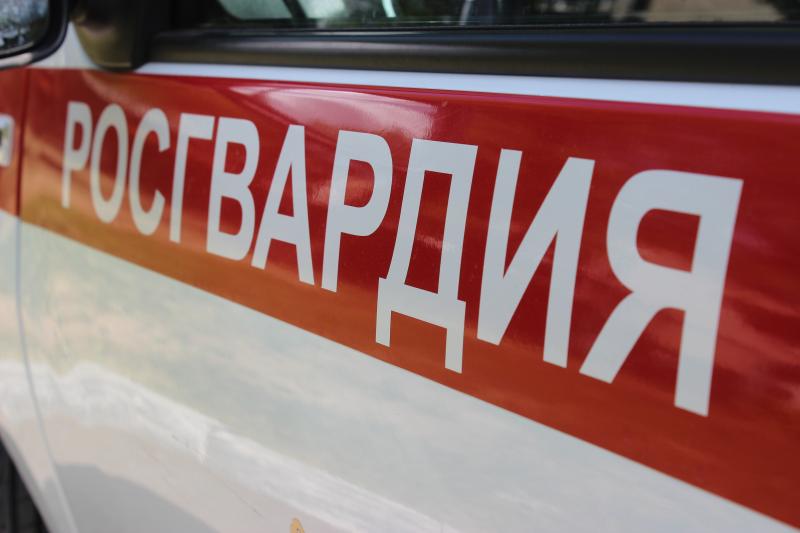 В Челябинске сотрудники Росгвардии задержали женщину, подозреваемую в краже из супермаркета
