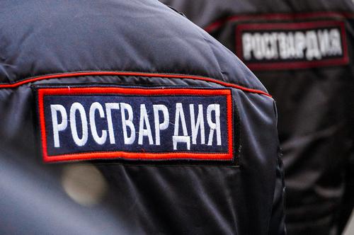 В Новгородской области росгвардейцы задержали гражданина, совершившего грабеж