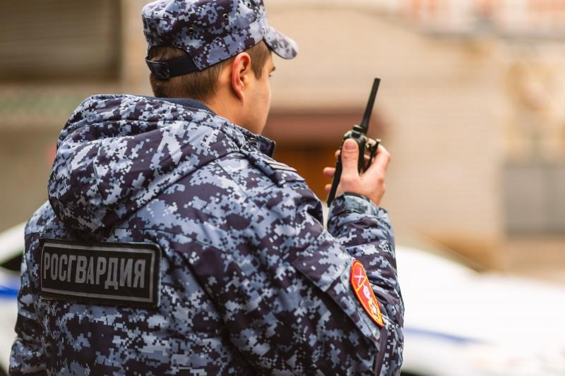 Подозреваемых в хищении задержали росгвардейцы в Пскове