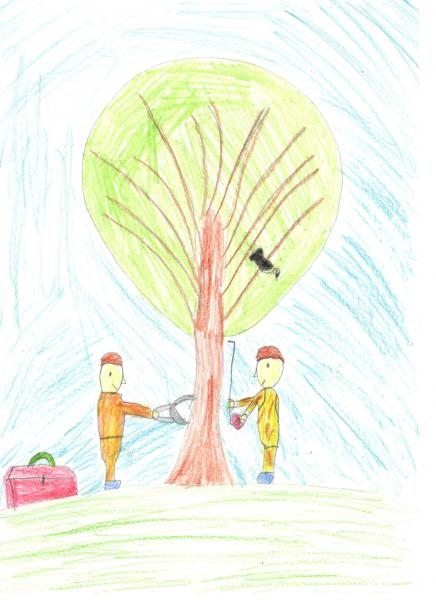 Итоги конкурса детских рисунков в рамках кампании
«Защита леса - наша работа»