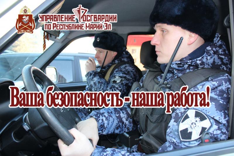 В Марий Эл завершилась оперативно-профилактическое мероприятие «Безопасный дом»