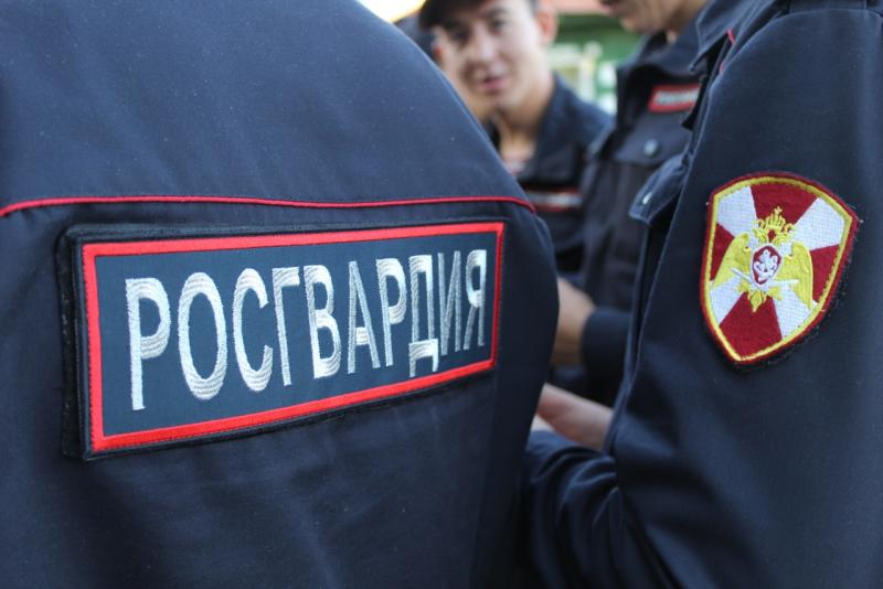 «ТОП» нелепых преступлений составили росгвардейцы Оренбуржья