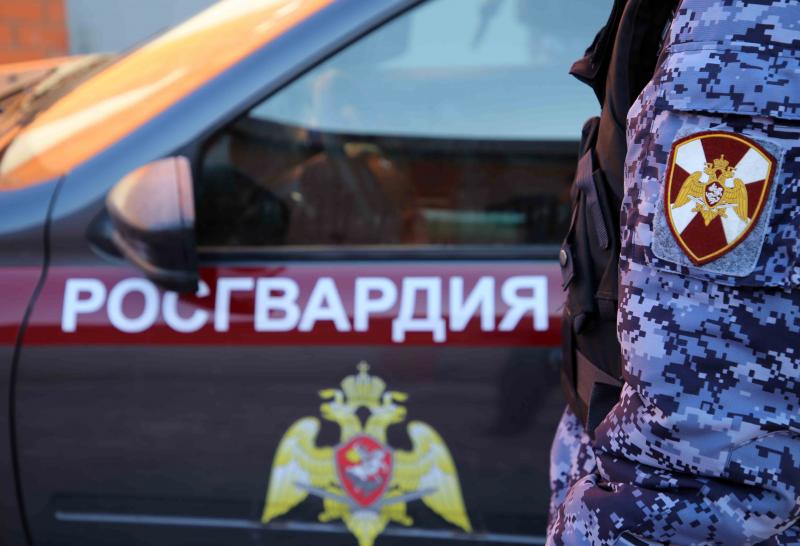 В Мордовии благодаря бдительности работников магазина росгвардейцы задержали подозреваемого в краже металлических плит