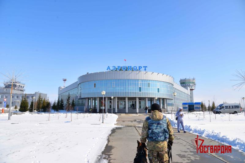 На Северном Урале в преддверии Дня Победы кинологи Росгвардии проверили безопасность аэропорта Салехарда
