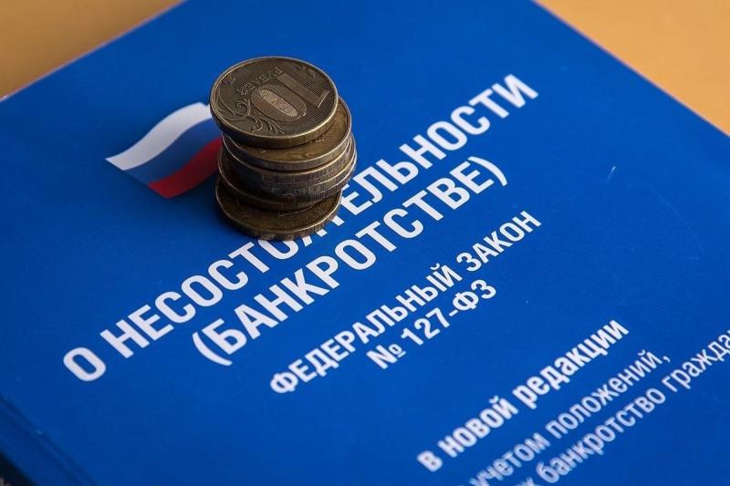 В Новосибирской области поступления от процедур банкротства составили более 400 млн руб.