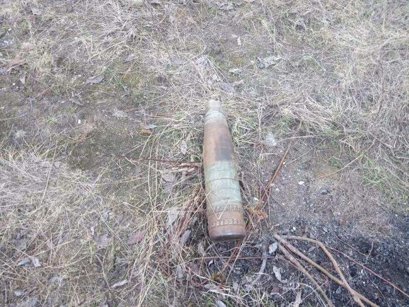 В Мурманской области взрывотехники ОМОН обследовали подозрительную находку