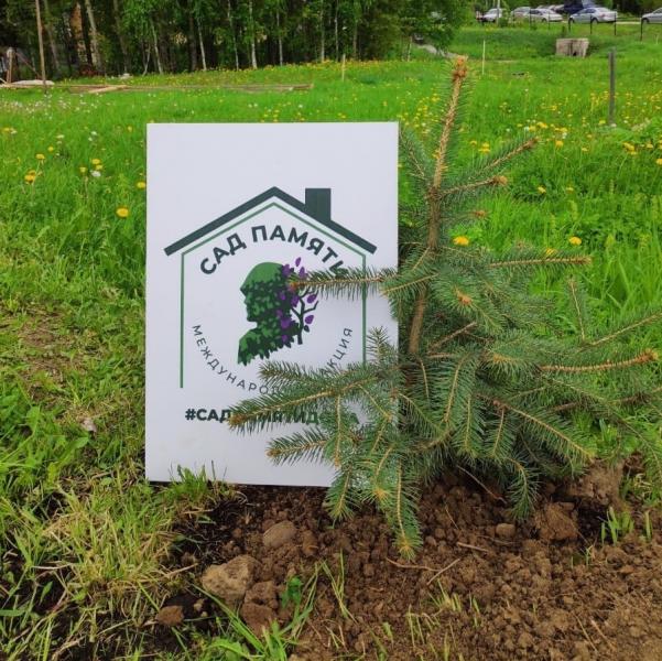 Защитники леса посадили деревья в честь защитников Родины.