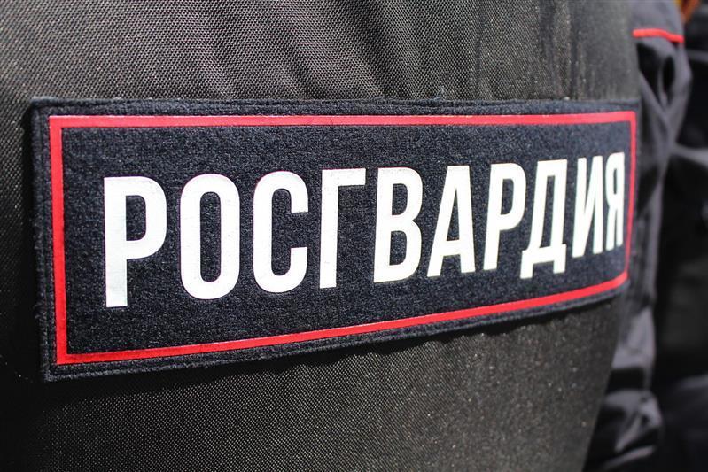 Сотрудниками Росгвардии Вологодской области за неделю пресечено 74 различных правонарушений