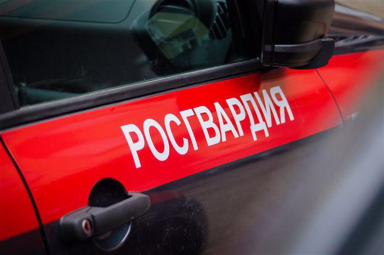 В Пскове росгвардейцами задержан подозреваемый в краже