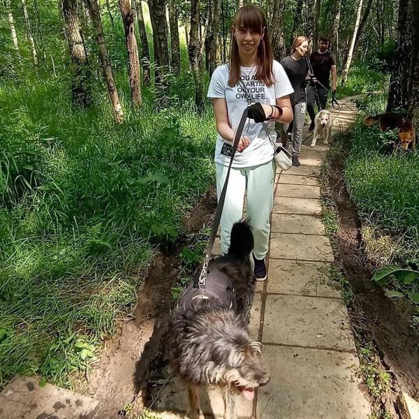 Ученицы школы №2120 выгуливают собак из приюта