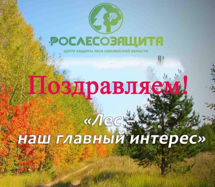 Юные смолянки стали победителями и призерами Всероссийского конкурса «Лес – наш главный интерес»