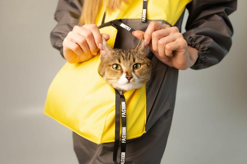 Выпускница ХГУ создала коллекцию курток для домашних животных