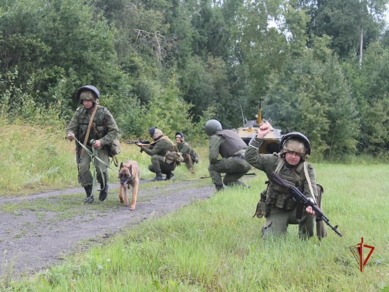 В Томской области в рамках учения «Заслон-2021» военнослужащие Росгвардии отработали действия по поиску и ликвидации бандгруппы