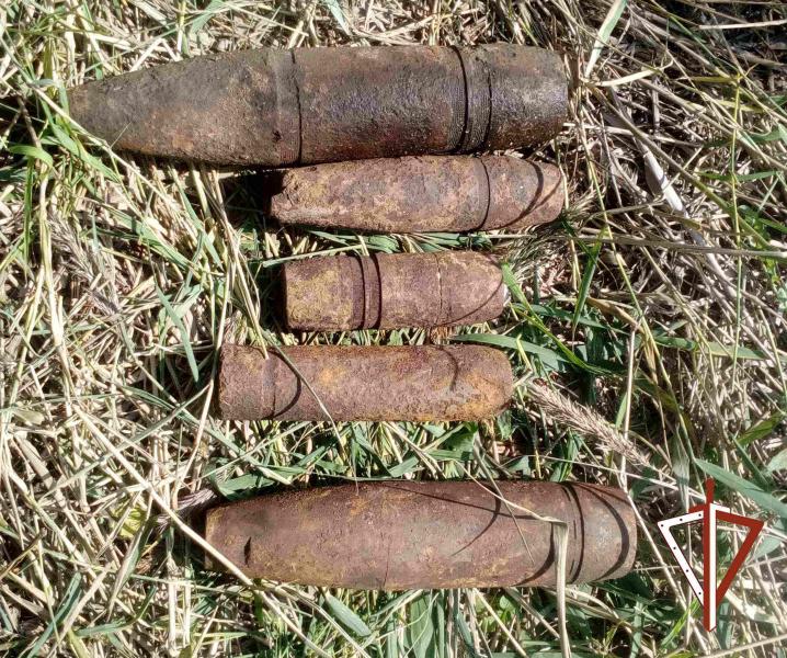 В Курганской области группа разминирования ОМОН Росгвардии обезвредила найденные у берега озера боеприпасы