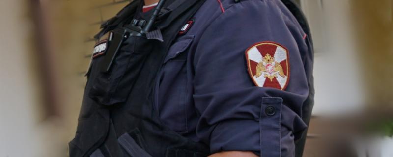 Сотрудники вневедомственной охраны Росгвардии задержали жителя Ульяновска подозреваемого в краже из строительного гипермаркета