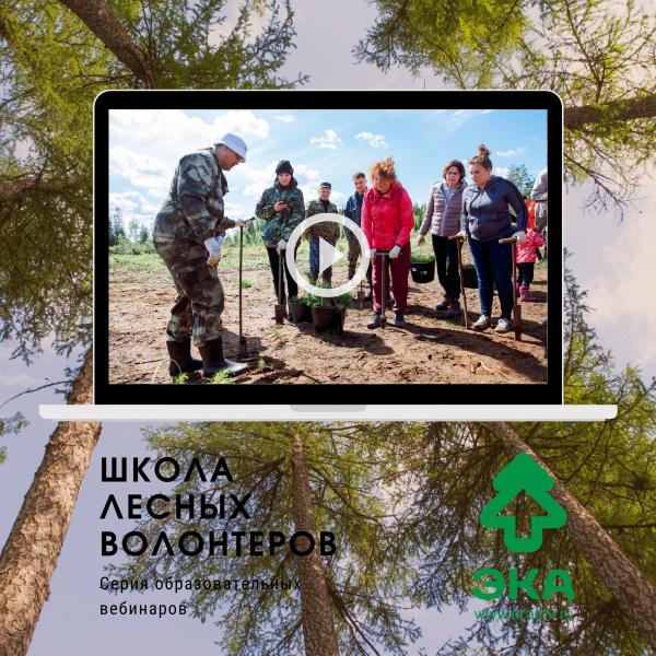 Школа Лесных Волонтеров запустила серию образовательных вебинаров и приглашает лесных волонтеров Марий Эл