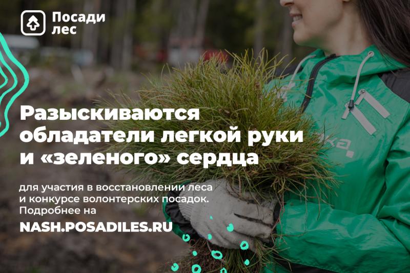 Стартовал осенний конкурс волонтерских посадок леса в Кировской области