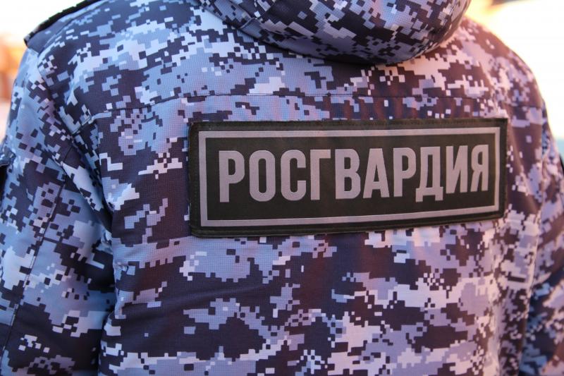 В Мордовии росгвардейцы задержали гражданина по подозрению в хищении товаров