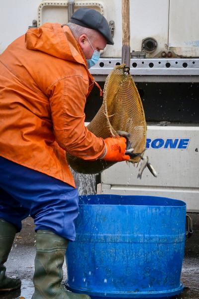Смоленская АЭС до конца текущего года выпустит в водохранилище свыше 640 тысяч особей рыб